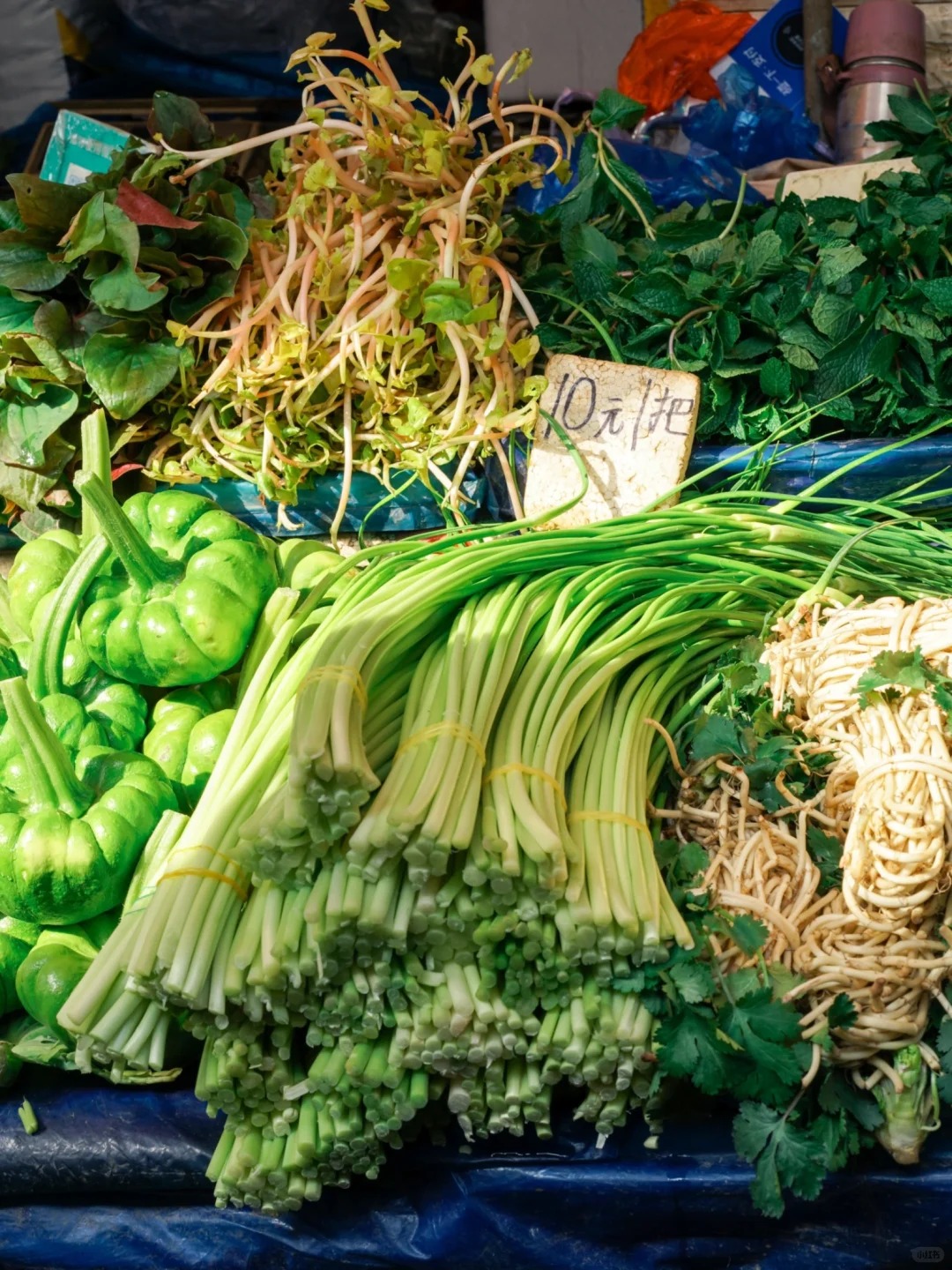 Bỏ qua những tour đắt đỏ, khách Việt đi Vân Nam giờ chuộng mốt 