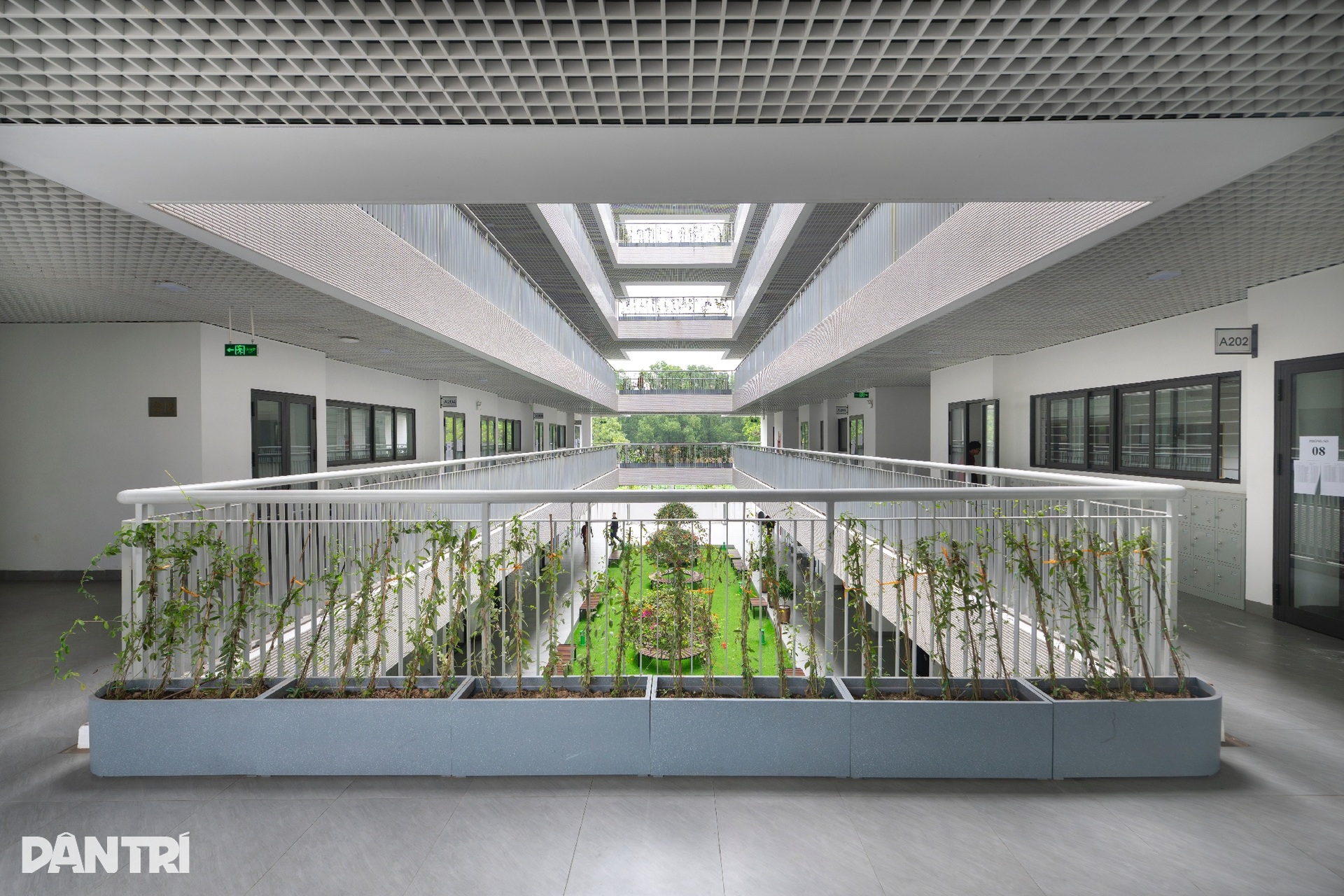 Toàn cảnh trường THPT công lập hơn 300 tỷ đồng hiện đại bậc nhất Hà Nội - 2