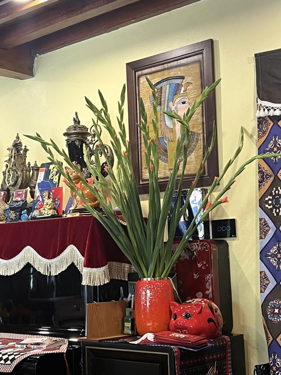 Cơ ngơi của NSND Xuân Bắc: 4 mặt đều là gỗ tự nhiên, rộng ngàn mét vuông chưa đi đã thấy 