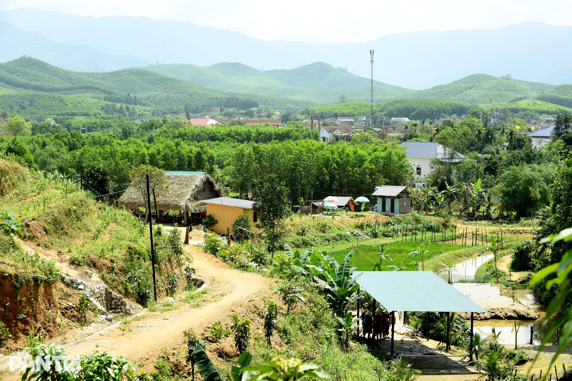 Khách Tây chăn trâu, được vịt massage khi đến Việt Nam du lịch - 2