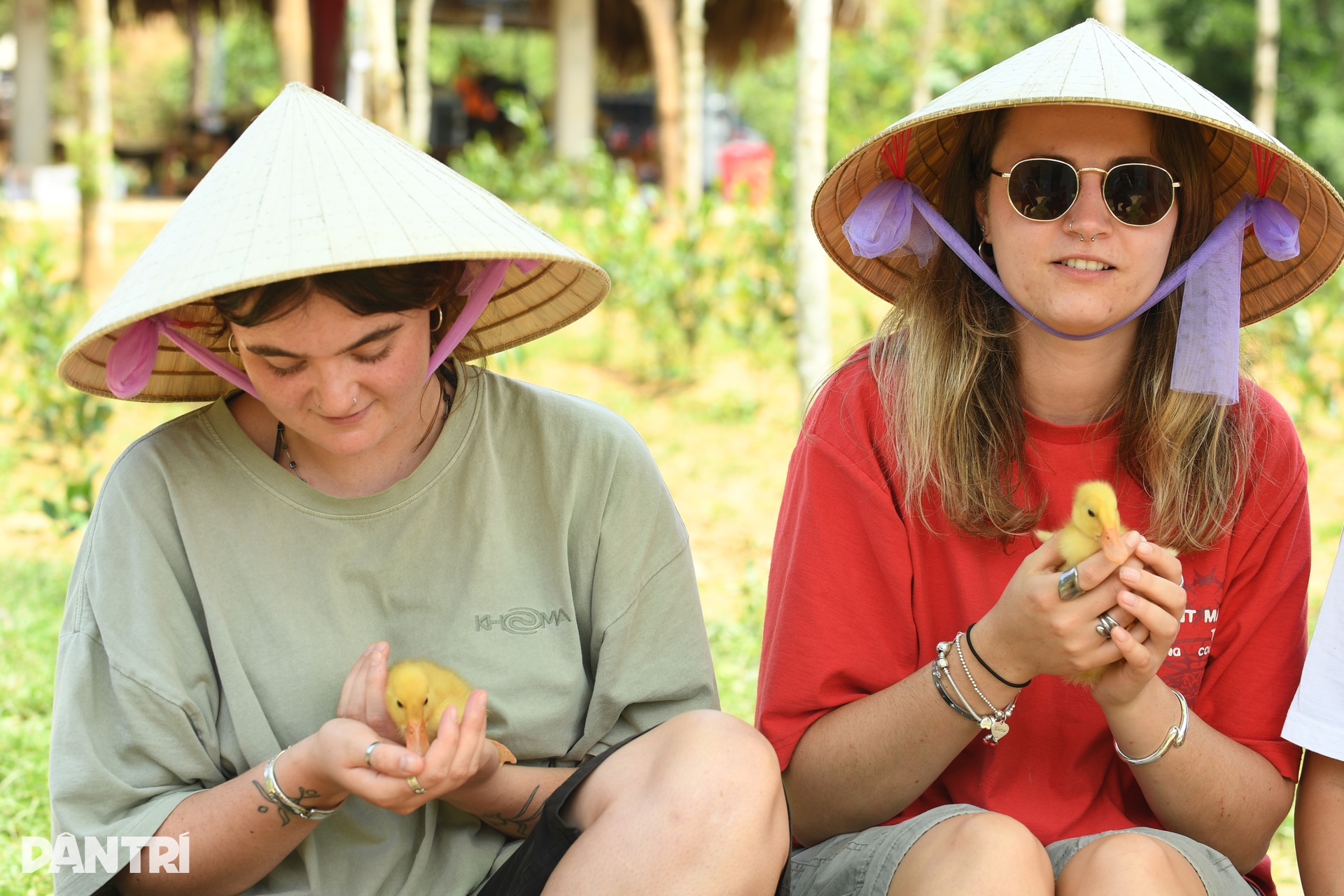 Khách Tây chăn trâu, được vịt massage khi đến Việt Nam du lịch - 7