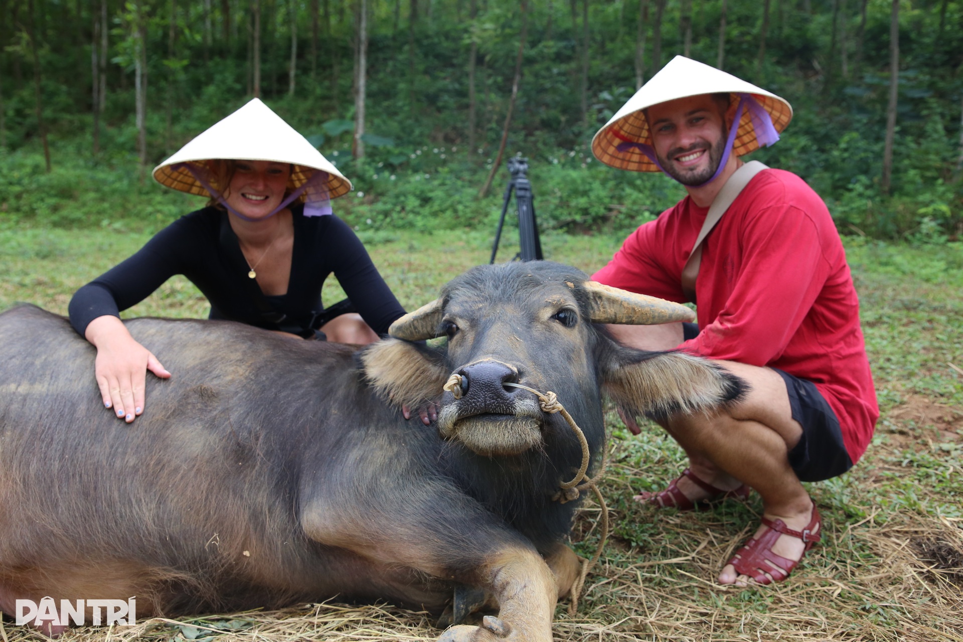 Khách Tây chăn trâu, được vịt massage khi đến Việt Nam du lịch - 8