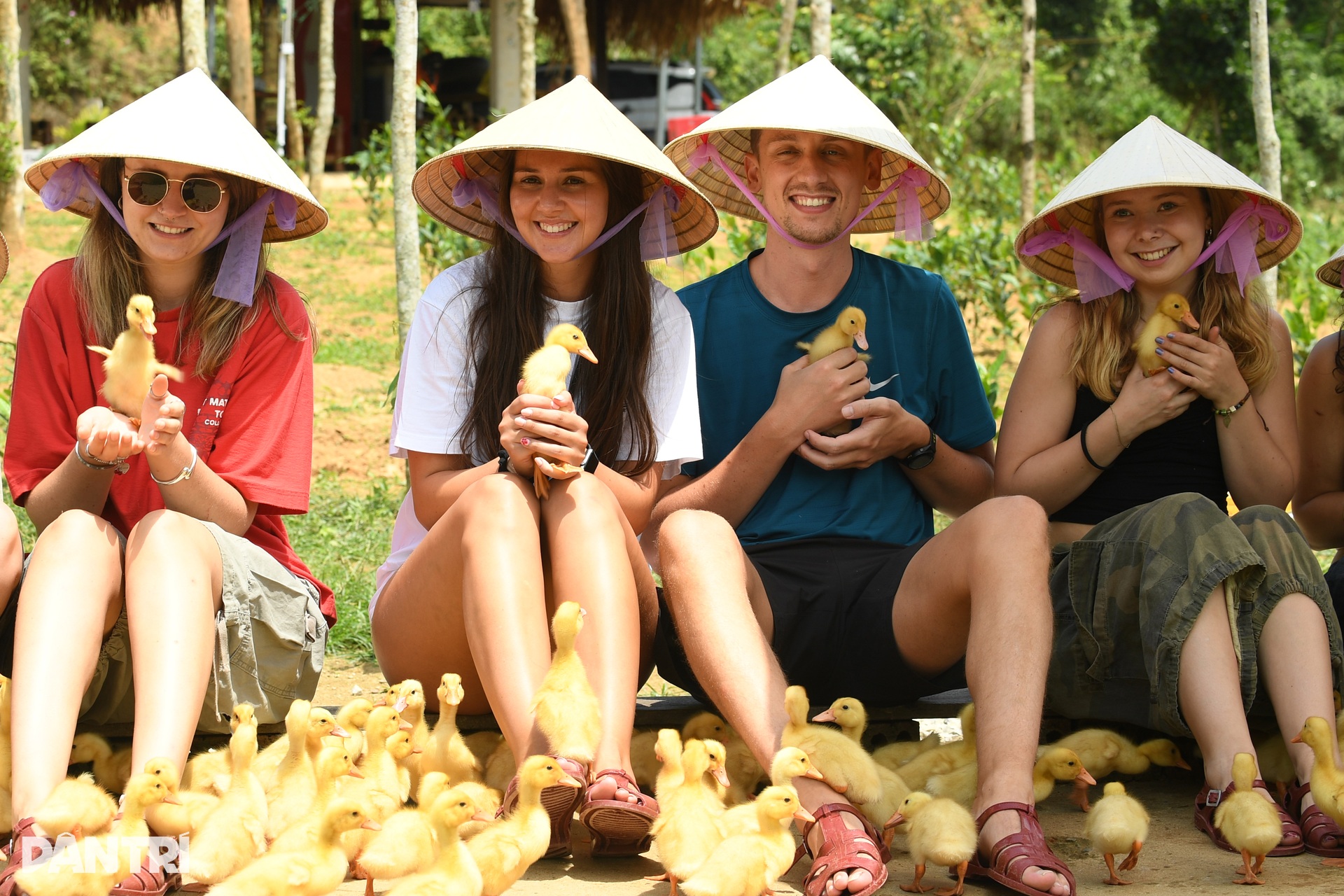 Khách Tây chăn trâu, được vịt massage khi đến Việt Nam du lịch - 11