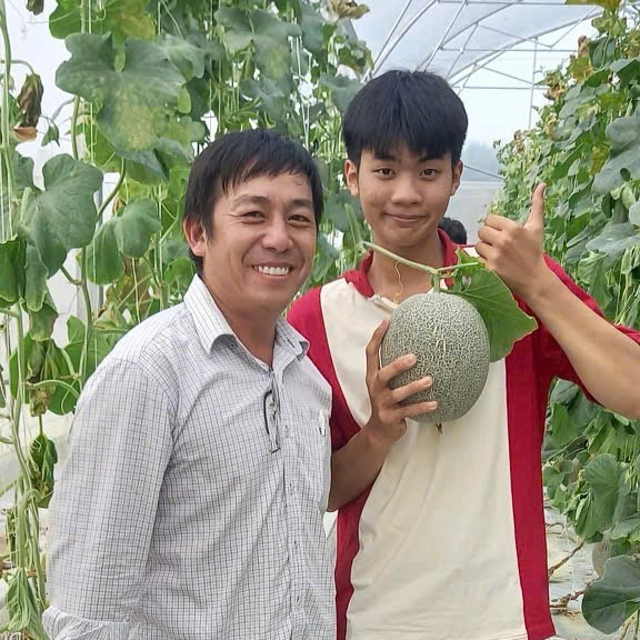 Kỹ sư xây dựng làm nghiệp công nghệ cao với mô hình trồng dưa lưới   - Ảnh 4.