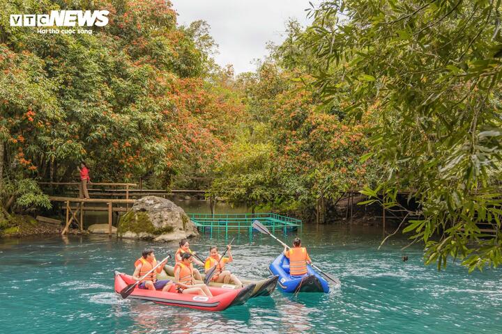 Mùa vàng anh 'thắp nắng' giữa Phong Nha - Kẻ Bàng- Ảnh 5.