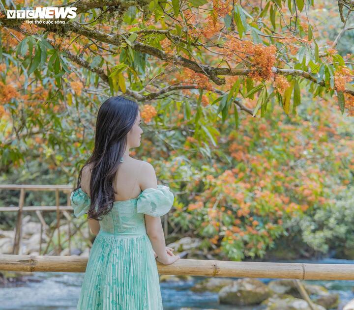 Mùa vàng anh 'thắp nắng' giữa Phong Nha - Kẻ Bàng- Ảnh 10.