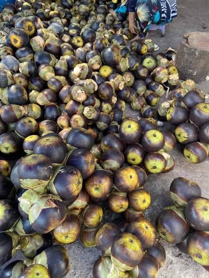 5 loại trái cây đặc sản miền Tây, cả nước hiếm nơi tìm thấy- Ảnh 3.