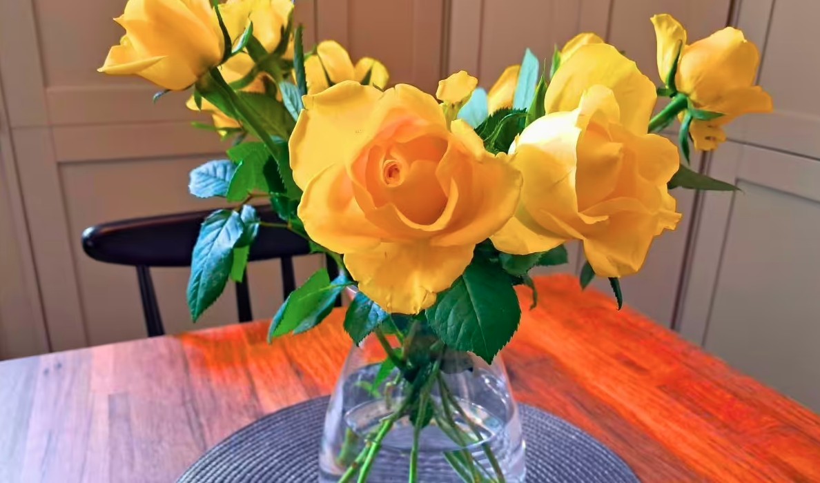 Mua hoa về cắm, đừng bao giờ đặt ở vị trí này trong nhà- Ảnh 2.