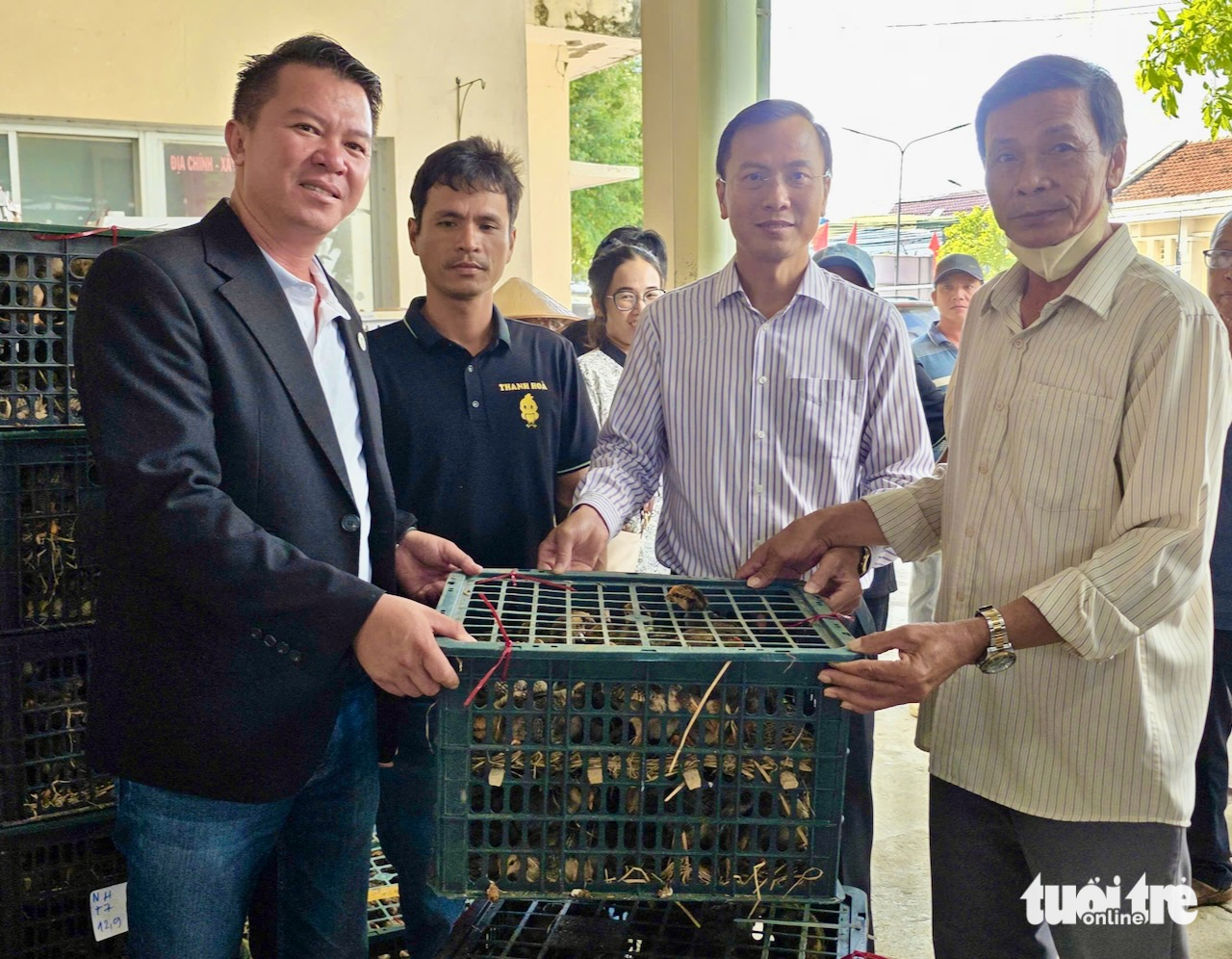 gà giống - Ảnh 3.