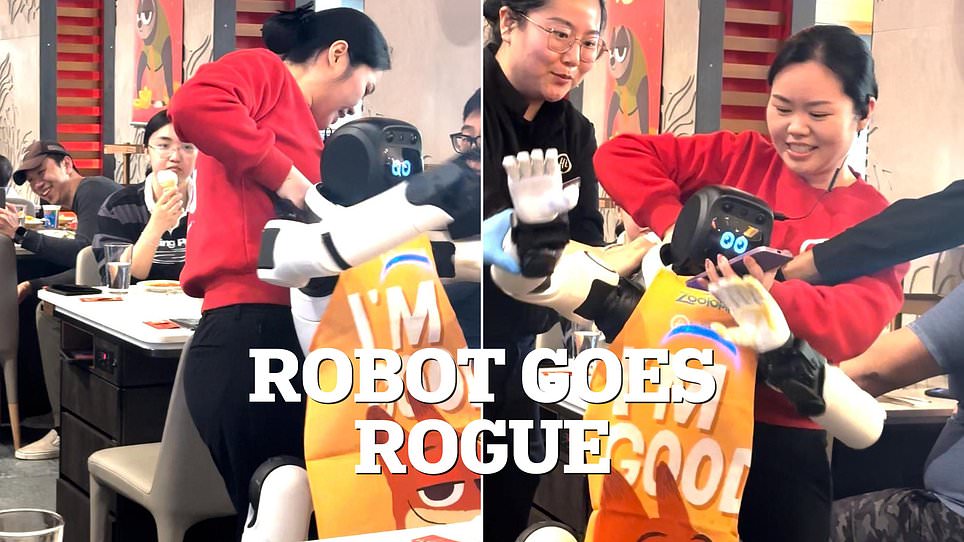 Robot tại nhà hàng lẩu Haidilao bất ngờ đập phá bát đĩa, phải chăng là stress quá?- Ảnh 2.