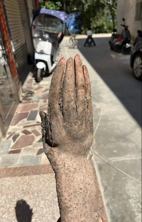 Đào được nguyên 