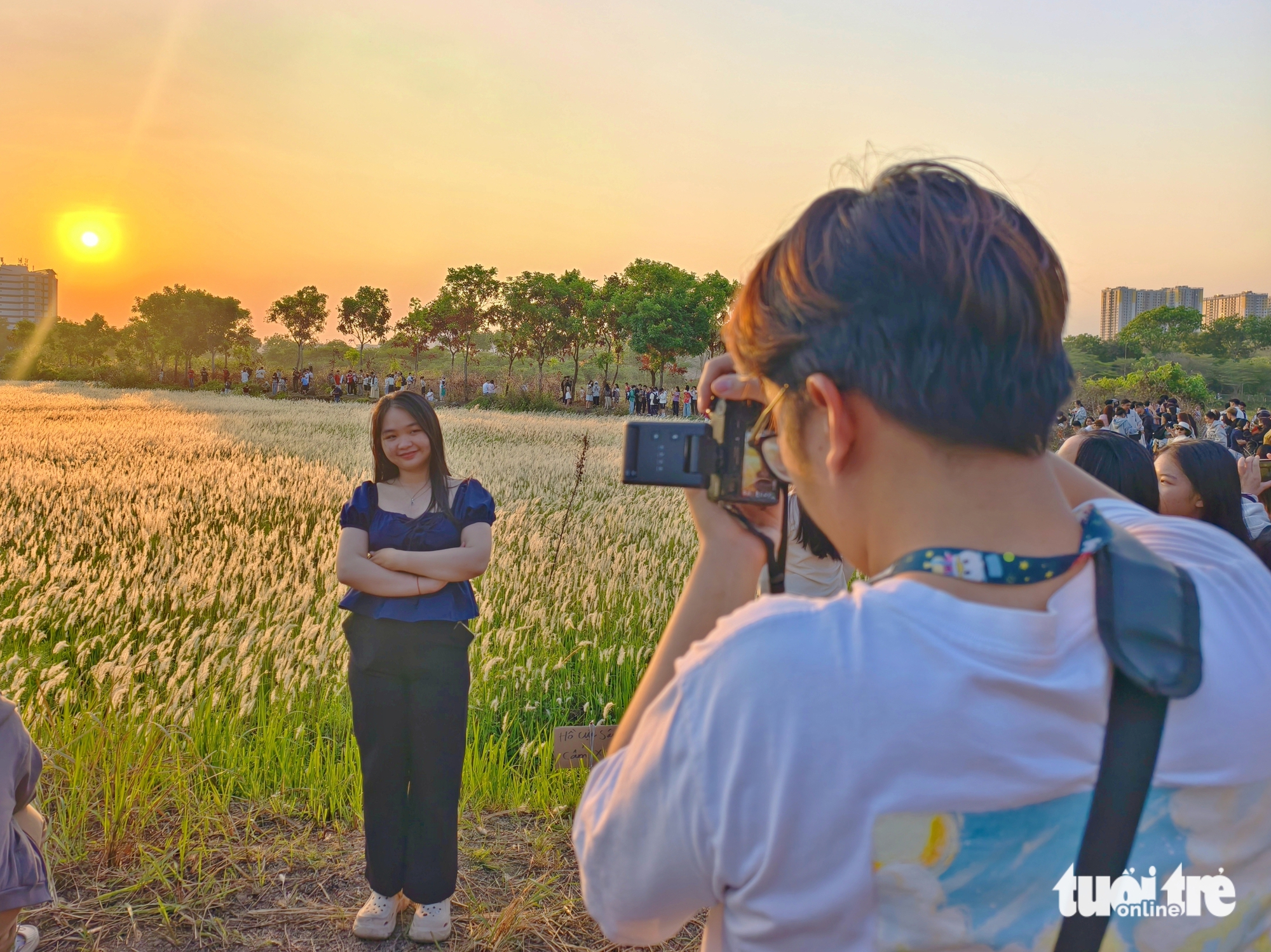 Đồng cỏ thơ mộng tại làng đại học hút khách 'săn' hoàng hôn, check-in - Ảnh 5.