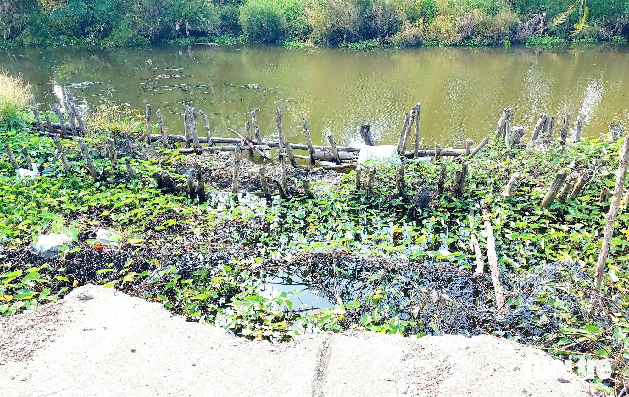 Dân vùng sạt lở U Minh Thượng ‘mỏi mòn’ chờ làm đường - Ảnh 2.