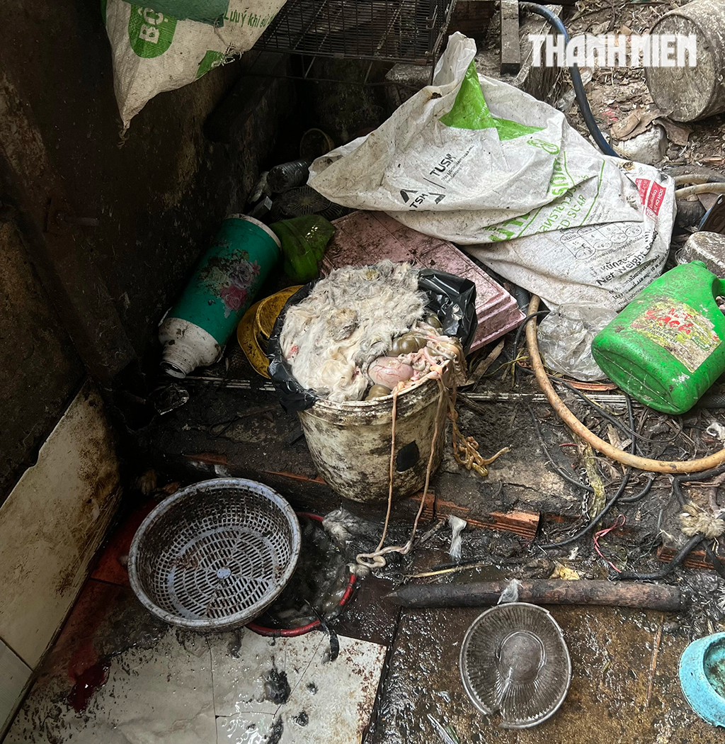 Rùng mình lò giết mổ lậu chó, mèo - Ảnh 3.