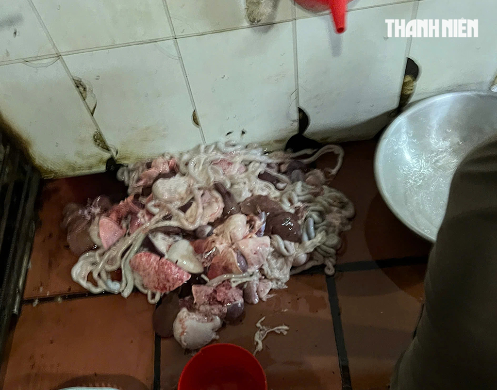 Rùng mình lò giết mổ lậu chó, mèo - Ảnh 7.