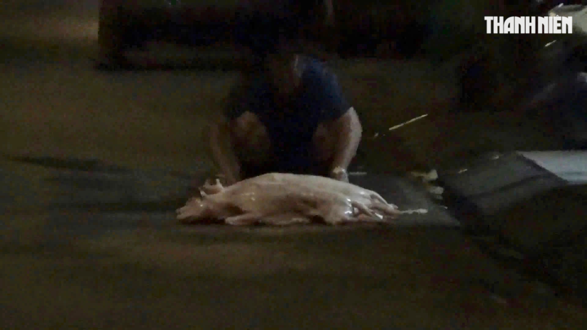 Rùng mình lò giết mổ lậu chó, mèo - Ảnh 8.