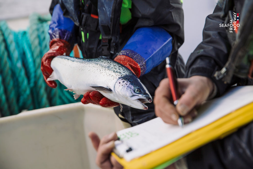 Niềm tin trở thành chìa khóa tăng trưởng của thị trường cá hồi tại Việt Nam - 2