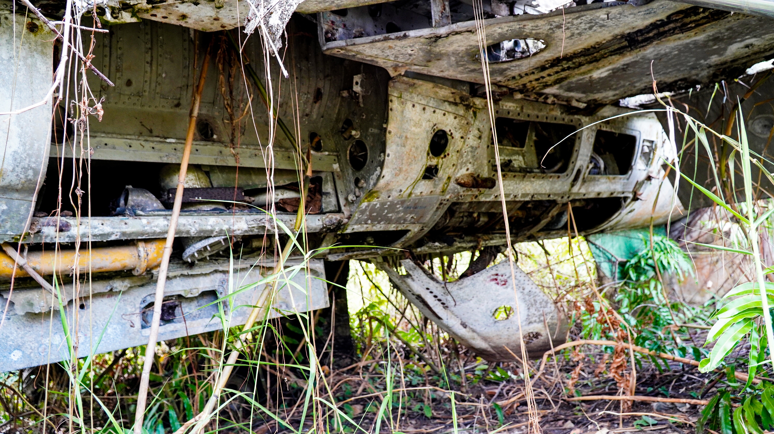 Máy bay MiG-21 'vô chủ' ở Cà Mau 3 MÁY BAY - Ảnh 3.