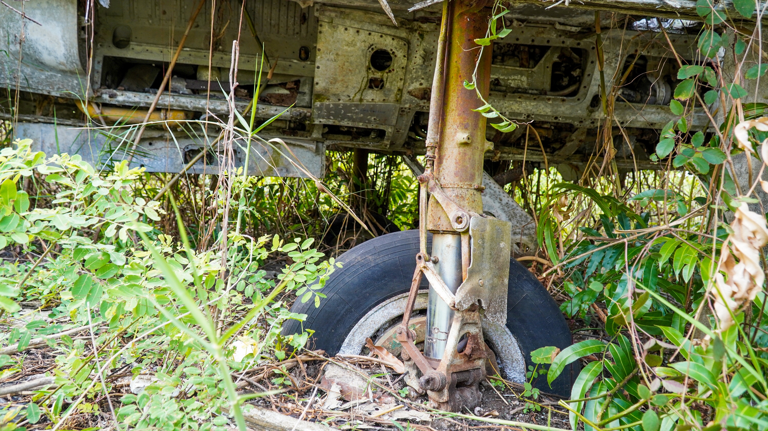 Máy bay MiG-21 'vô chủ' ở Cà Mau 5 MÁY BAY - Ảnh 5.