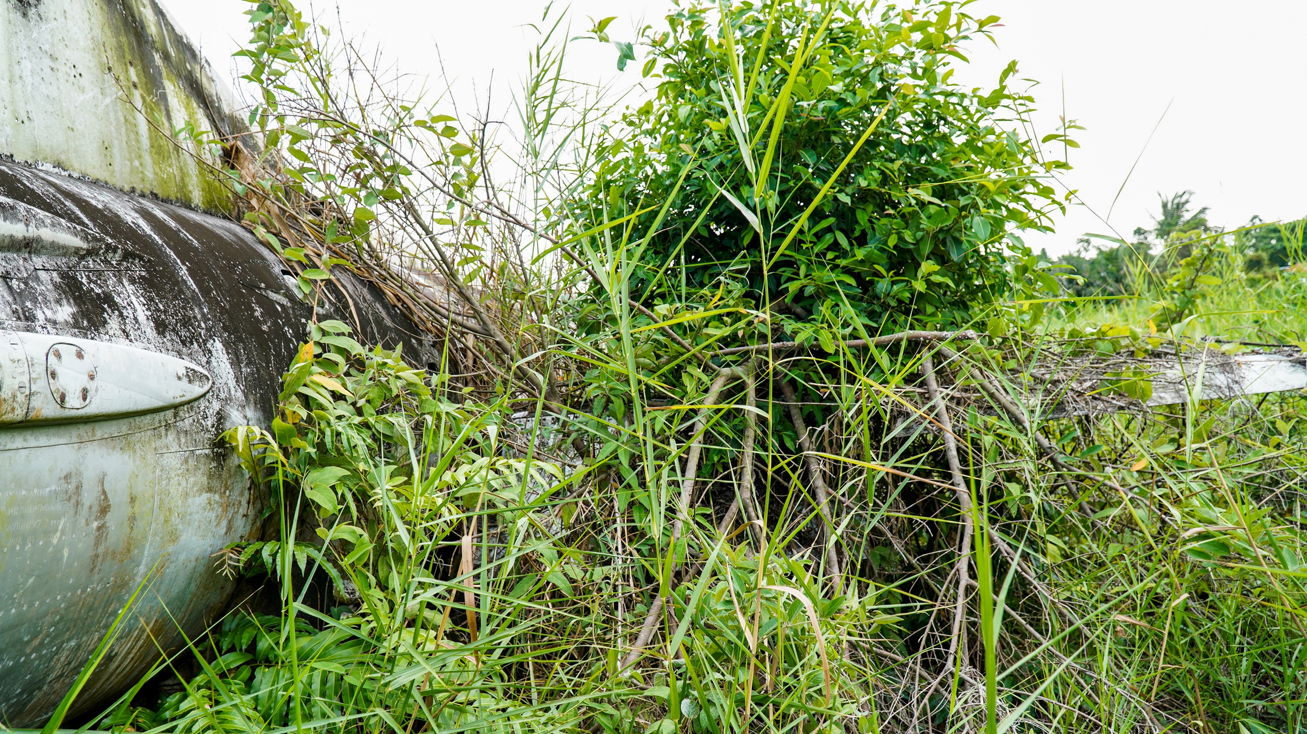 Máy bay MiG-21 'vô chủ' ở Cà Mau 6 MÁY BAY - Ảnh 6.