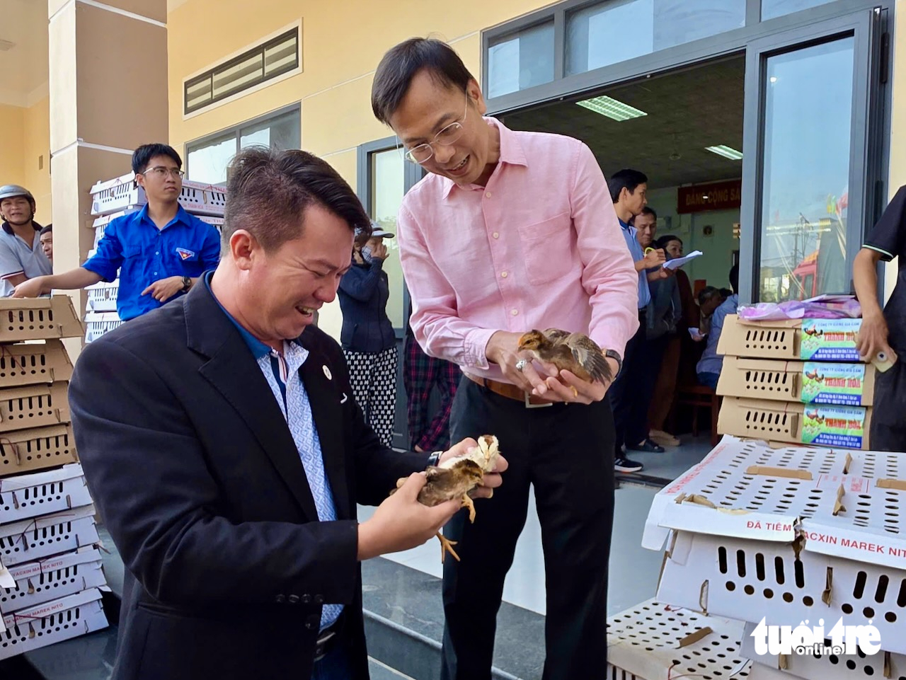 gà giống - Ảnh 3.