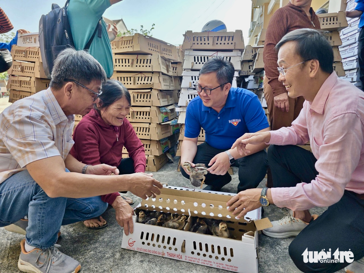 gà giống - Ảnh 3.