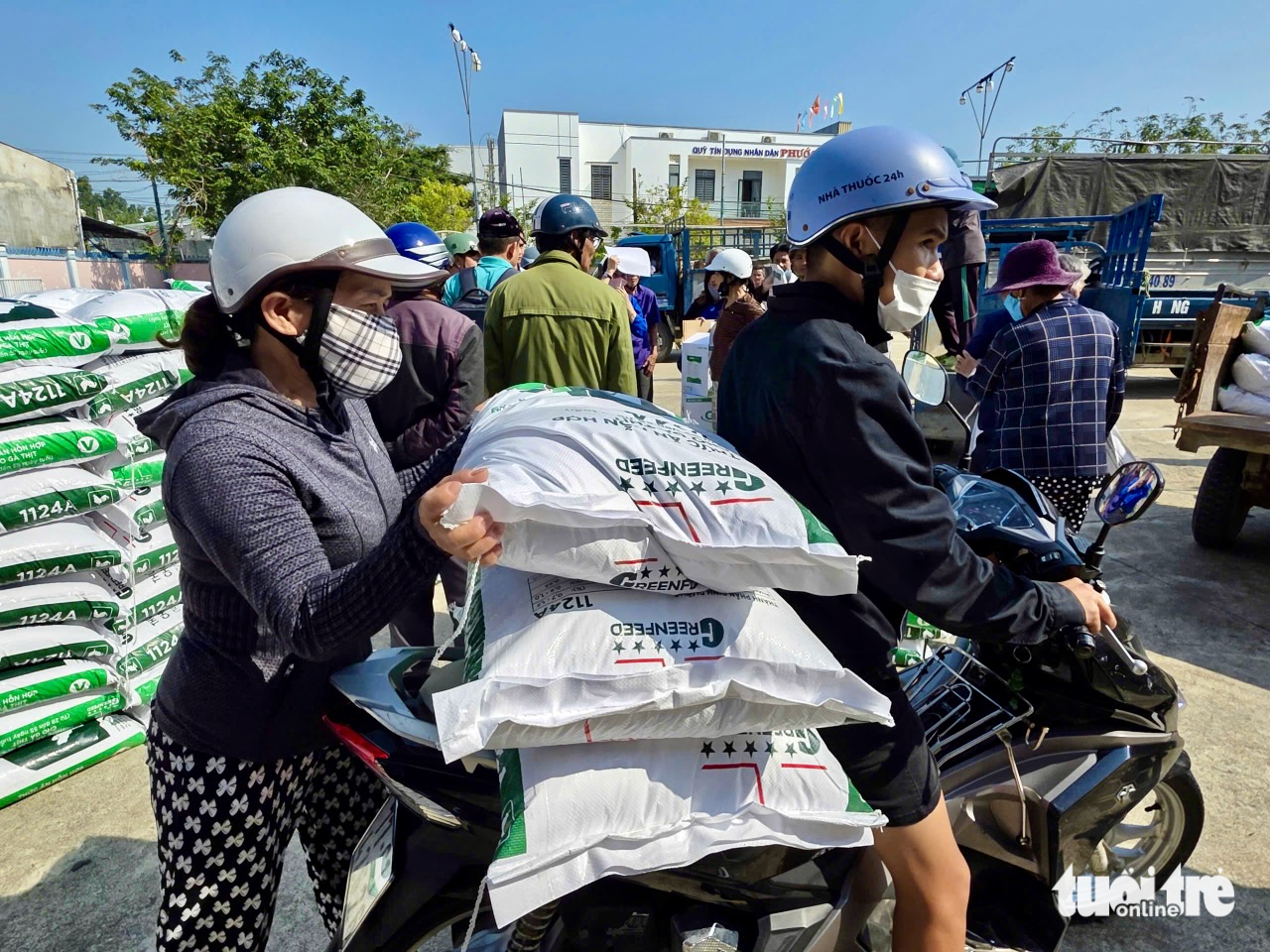 gà giống - Ảnh 5.