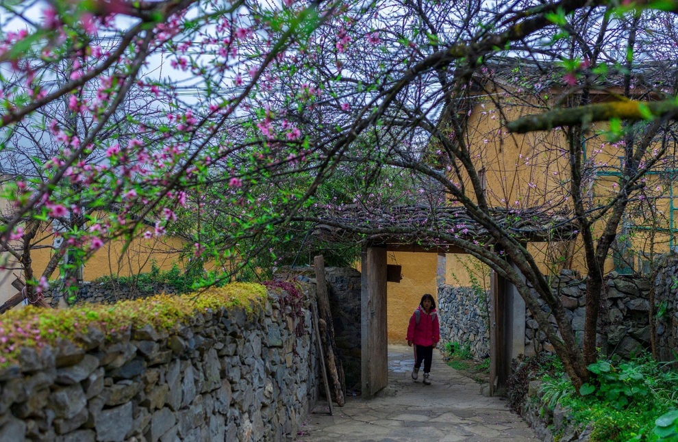 Khách Nhật tới Hà Giang hơn 100 lần, thừa nhận... quá yêu Việt Nam - 3