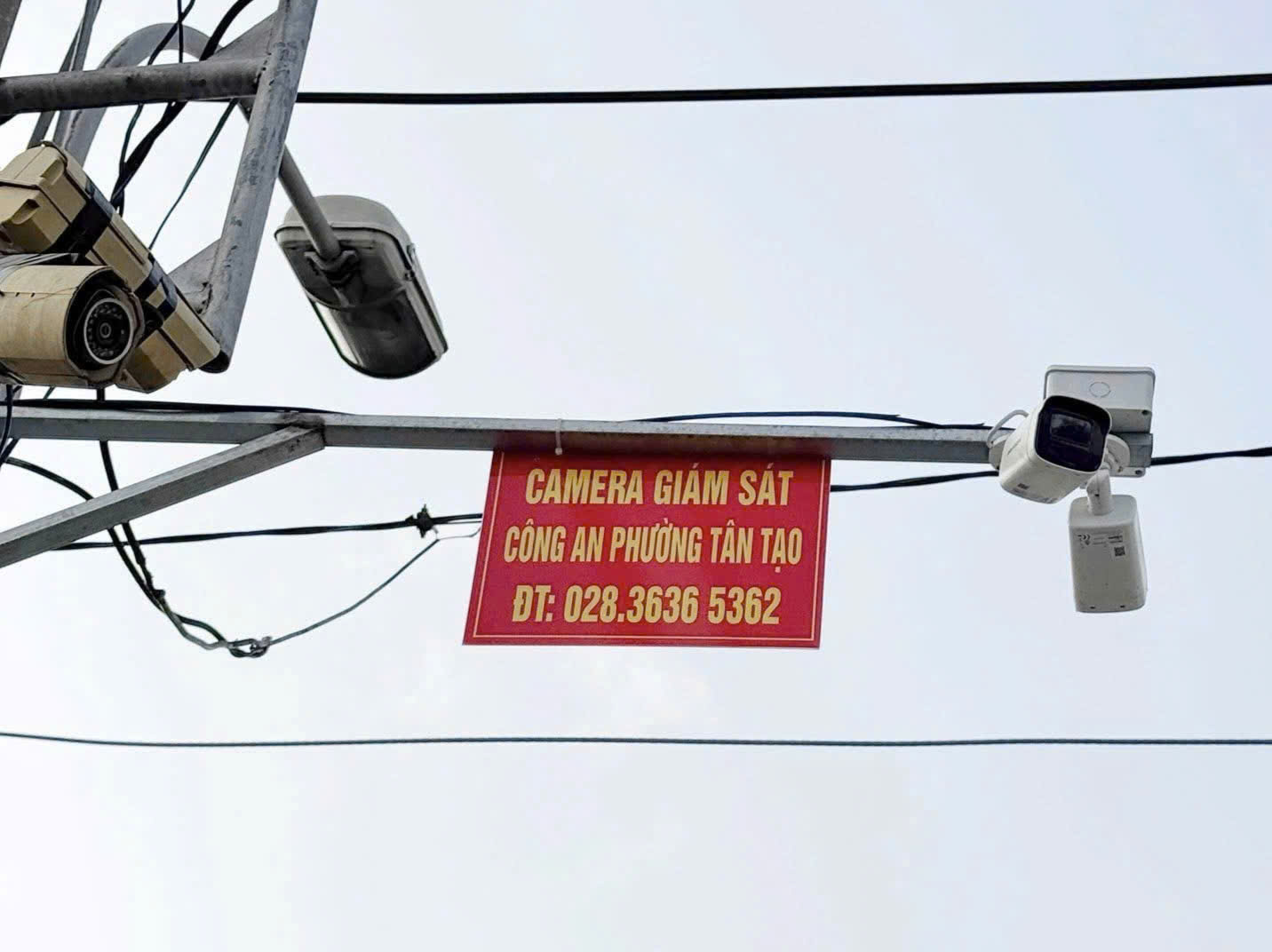 phường Tân Tạo - Ảnh 3.