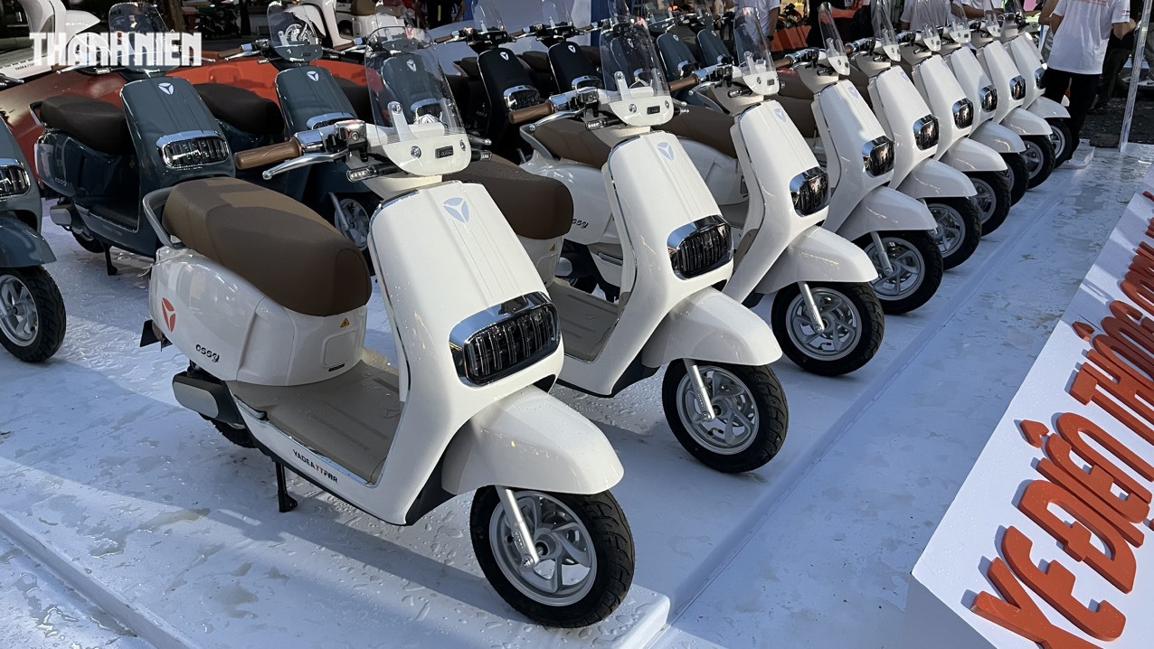 5 thị trường xe máy điện lớn nhất thế giới, Việt Nam góp mặt - Ảnh 2.