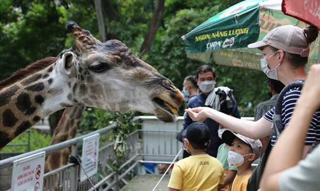 Sở thú lâu đời nhất Việt Nam bất ngờ “hẹn” khách vào 9h sáng Chủ nhật tuần này- Ảnh 9.