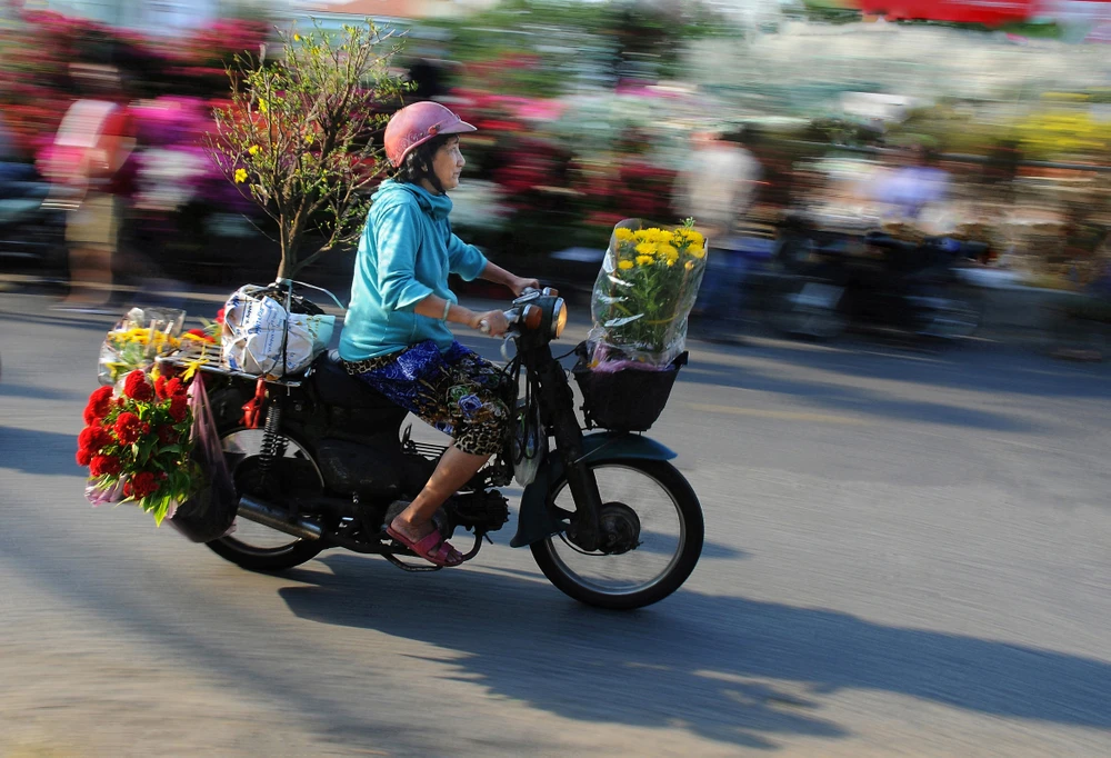 HỐI HẢ ĐÓN XUÂN_NGUYỄN NGỌC HẢI.jpg