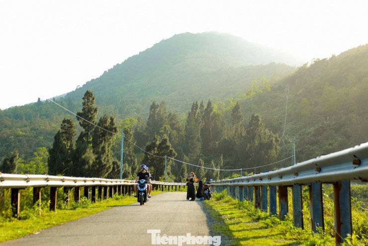 Lãng mạn đến ngỡ ngàng trên cung đường đỉnh Hải Vân 3 Không ồn ào, đông đúc như nhiều điểm du lịch khác, nơi đây mang đến cảm giác yên bình hiếm có. Những tán thông đung đưa trong gió, ánh nắng len lỏi qua từng kẽ lá tạo nên những vệt sáng đổ xuống mặt đường, gợi nên khung cảnh lãng mạn. Nhiều du khách không giấu được sự thích thú khi ví von nơi này như một góc trời Âu.