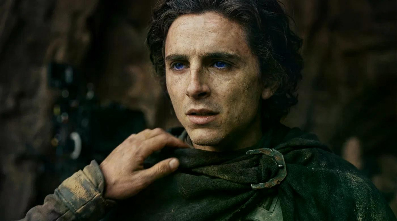 Ai cứu được Timothée Chalamet- Ảnh 5.