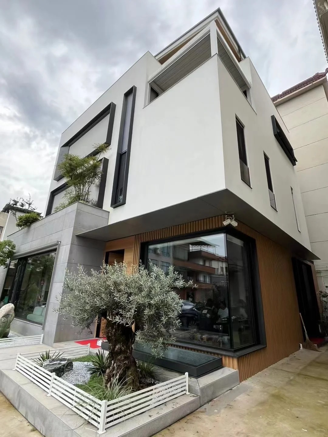 Giới nhà giàu đang mê mệt loại cây này: Không chỉ đẹp mà còn hút lộc, giá nhỉnh... sương sương vài tỷ đồng!- Ảnh 18.