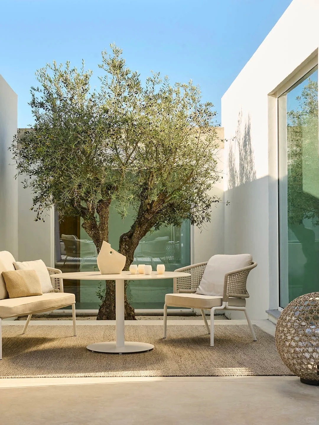 Giới nhà giàu đang mê mệt loại cây này: Không chỉ đẹp mà còn hút lộc, giá nhỉnh... sương sương vài tỷ đồng!- Ảnh 24.