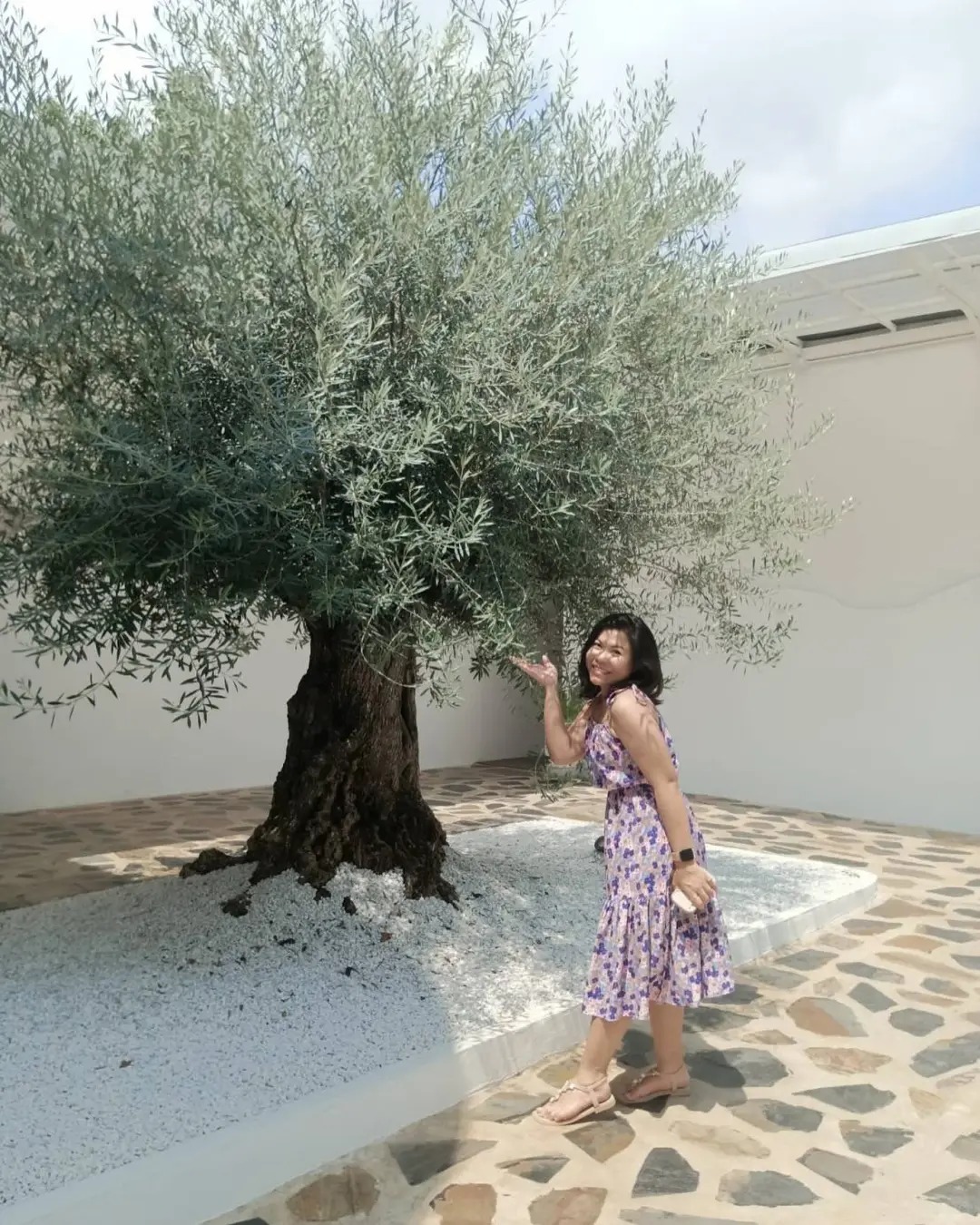 Giới nhà giàu đang mê mệt loại cây này: Không chỉ đẹp mà còn hút lộc, giá nhỉnh... sương sương vài tỷ đồng!- Ảnh 26.