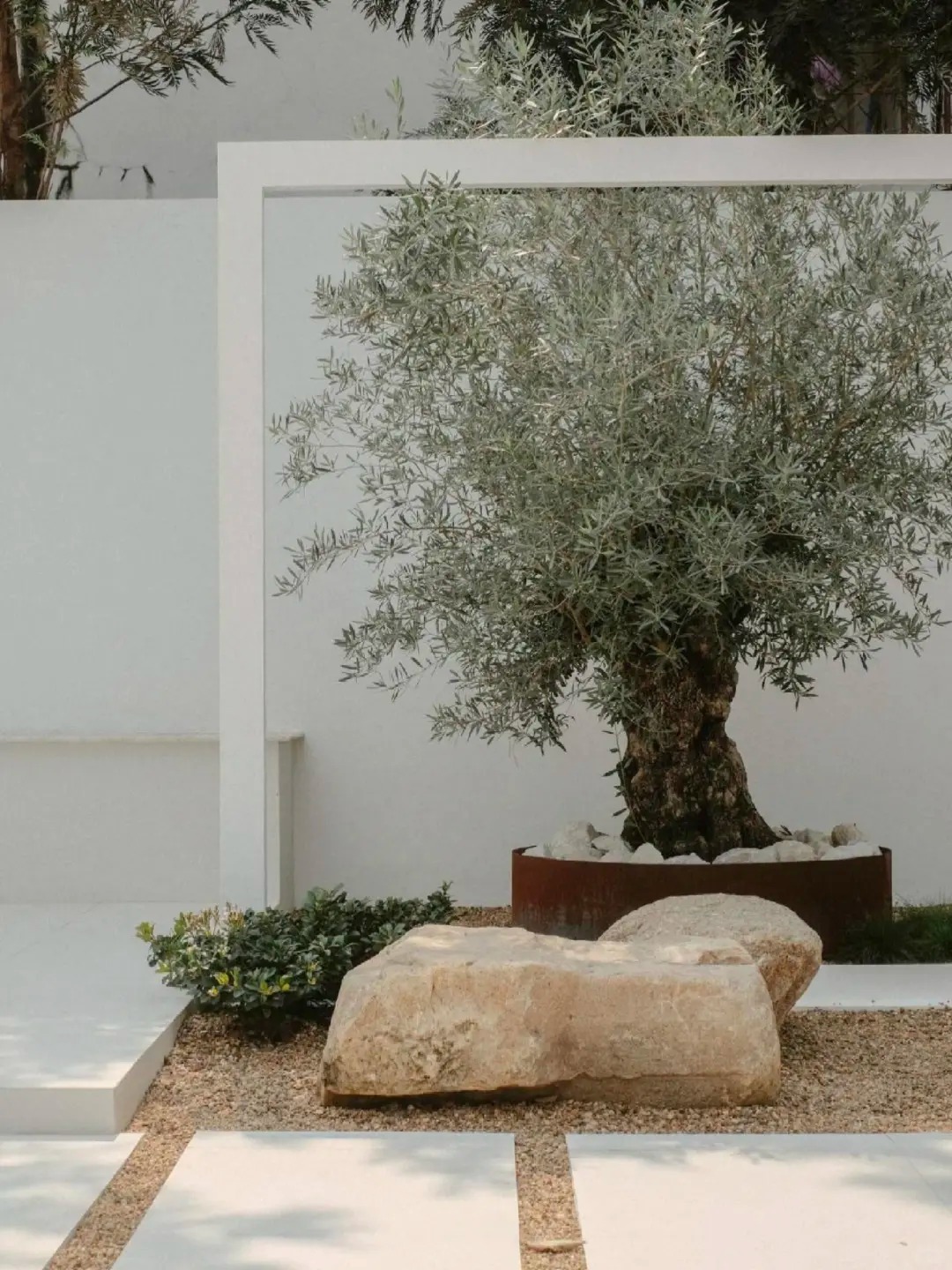 Giới nhà giàu đang mê mệt loại cây này: Không chỉ đẹp mà còn hút lộc, giá nhỉnh... sương sương vài tỷ đồng!- Ảnh 27.