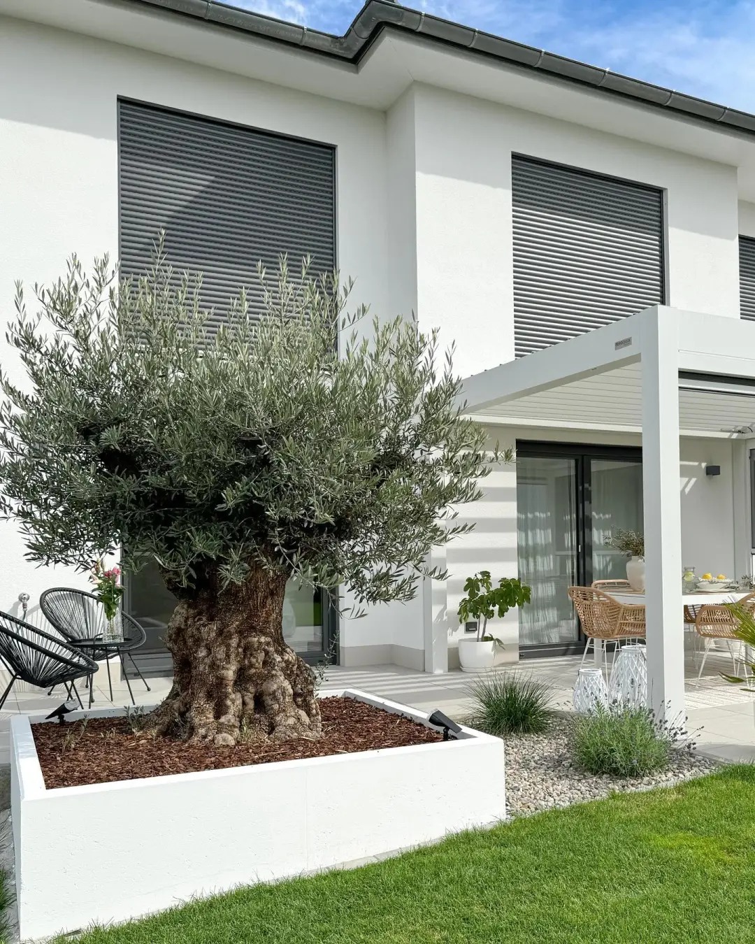 Giới nhà giàu đang mê mệt loại cây này: Không chỉ đẹp mà còn hút lộc, giá nhỉnh... sương sương vài tỷ đồng!- Ảnh 28.