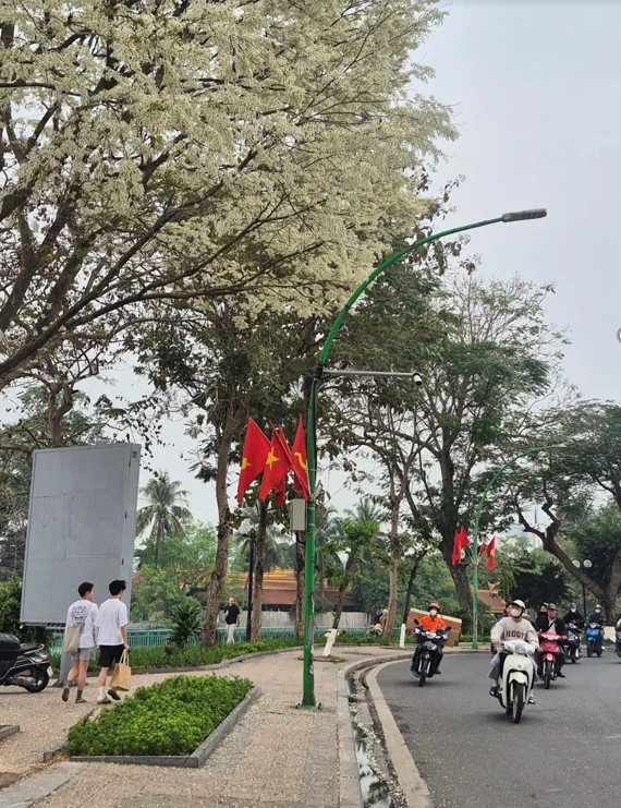 Tháng 3, Hà nội rực rỡ với muôn sắc hoa, nhiều người thích thú tránh thủ check-in 7 Cây hoa sưa trắng muốt khiến ai cũng phải nao lòng (Ảnh: Sưu tầm)