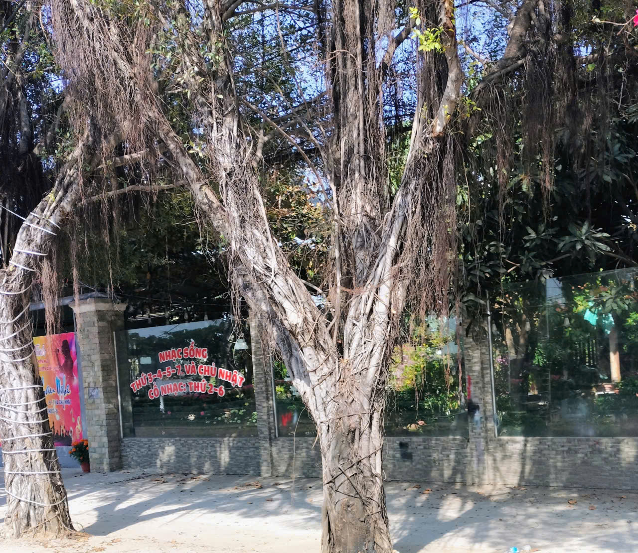 Vụ mua bán giấy tay đất công ở TP.HCM: Người mua kiện ra tòa- Ảnh 5. Vụ mua bán giấy tay đất công ở TP.HCM: Người mua kiện ra tòa- Ảnh 5.