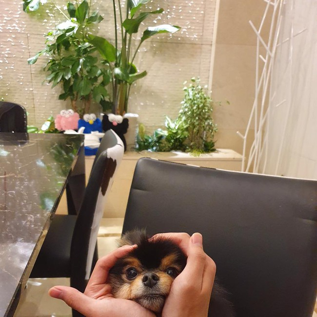 Toàn cảnh căn hộ 