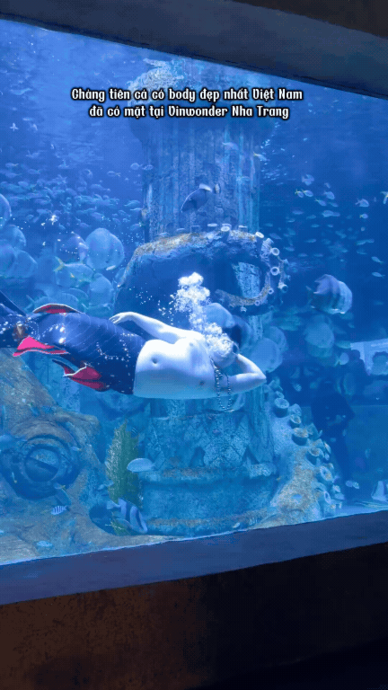 Chân dung bà bán trái cây và chàng tiên cá khiến khách Tây xếp hàng dài chờ gặp- Ảnh 5.