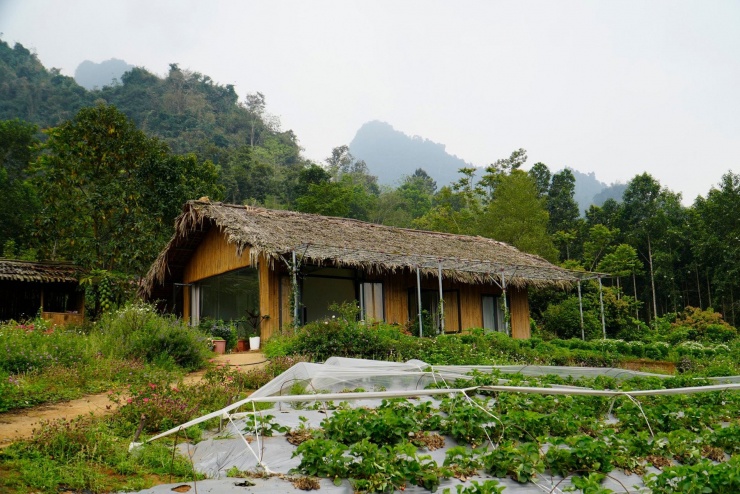 Bản làng xanh mát cách Hà Nội 250km, khách vượt xa đến hái rau, tự nấu cơm 3 Du khách ghé bản có thể lưu trú qua đêm ở homestay, tham gia các hoạt động sinh hoạt thường nhật cùng người dân