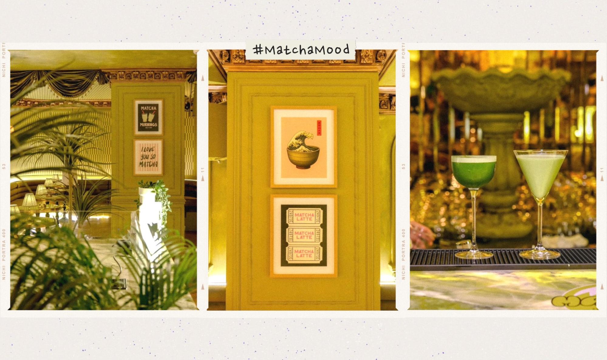 Matcha không chỉ để uống: Đây là cách một thú chơi đang trở thành cơ hội làm giàu- Ảnh 4.