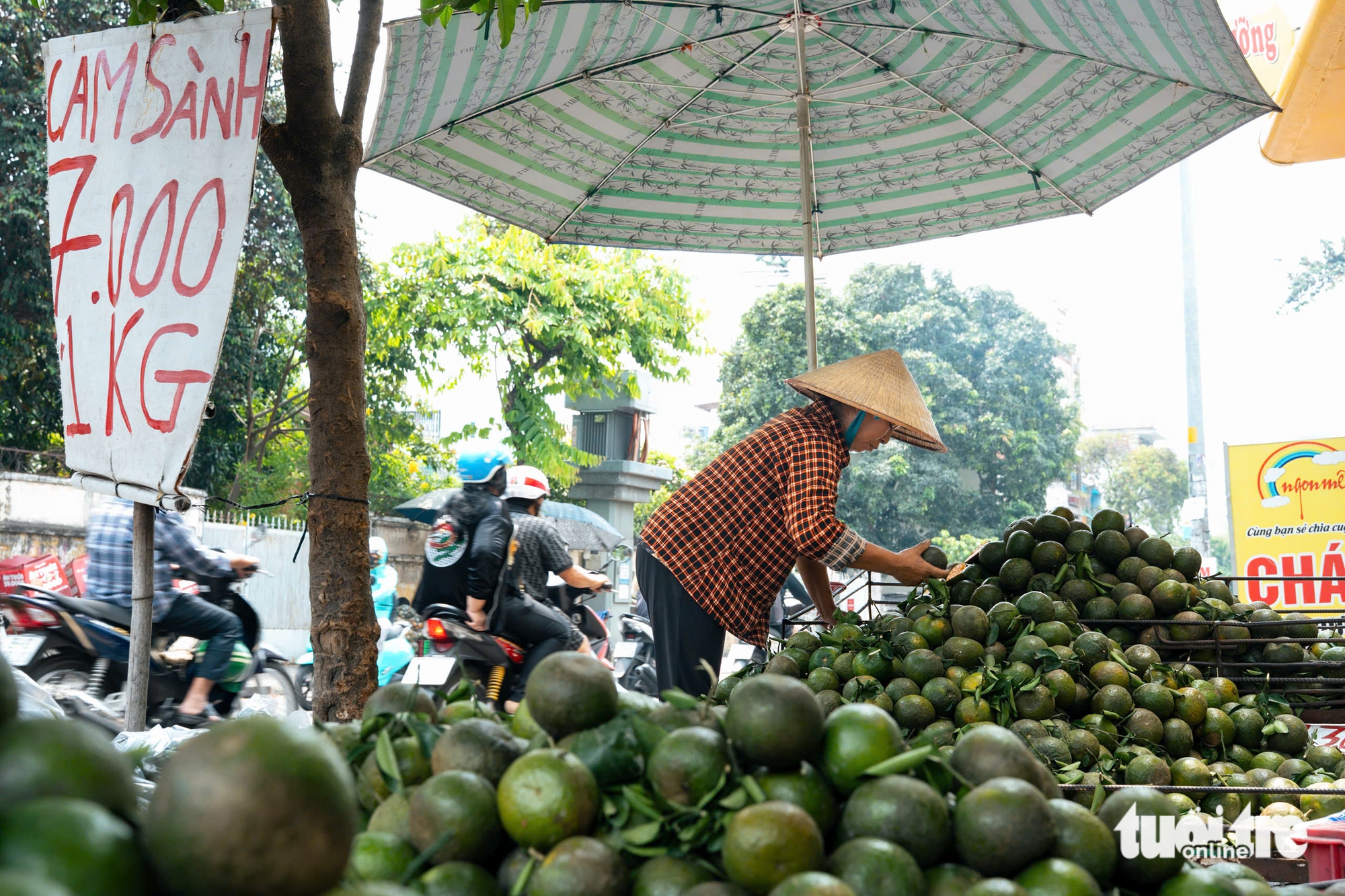 Cam sành, dưa hấu, thanh long, xoài... rớt giá thê thảm, điểm bán đổ thành đống - Ảnh 2.
