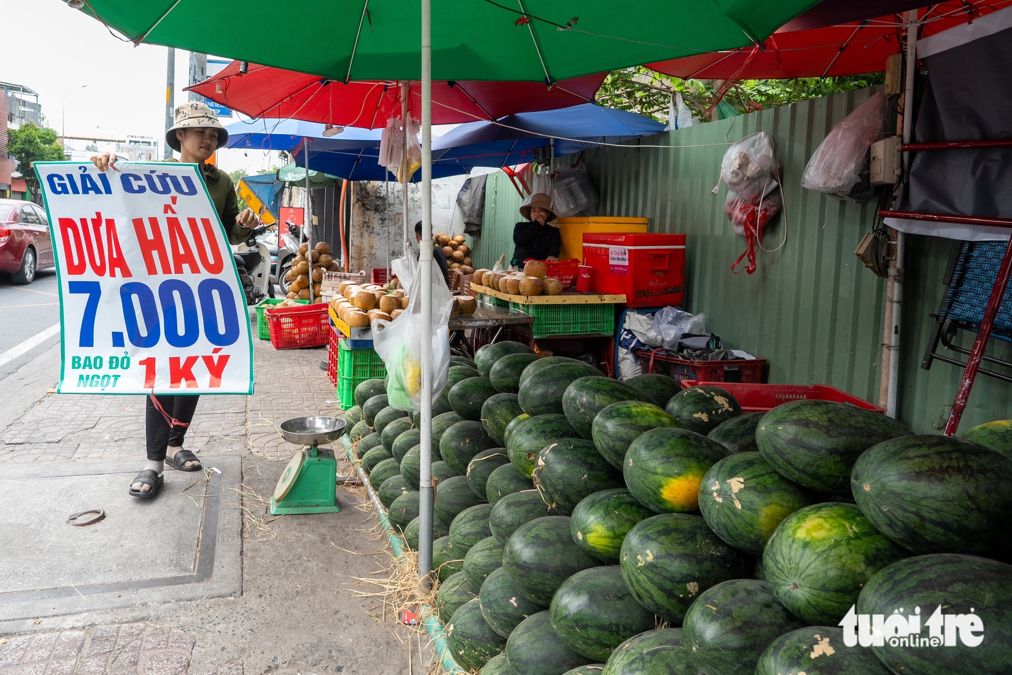 dưa hấu - Ảnh 4.