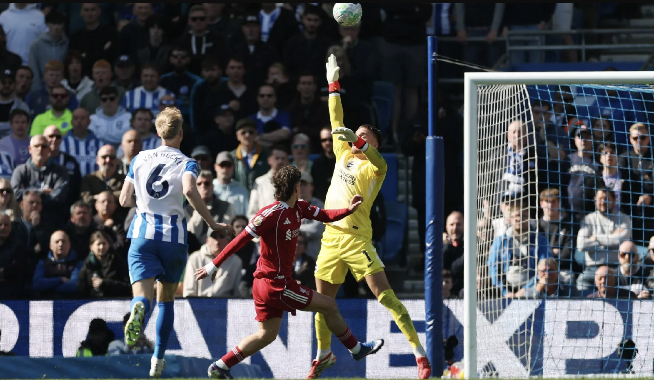 1774108178 304 Lao tuong Welbeck lap cong Brighton quat nga Liverpool