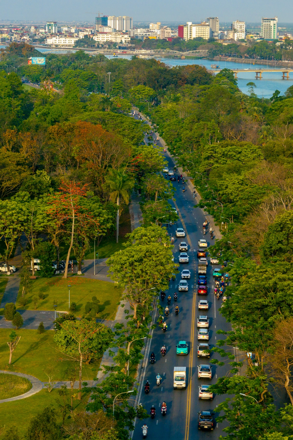 Hoa gạo nở đỏ rực khắp Kinh thành Huế - 5