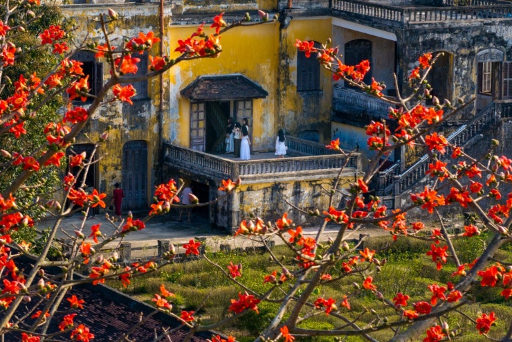 Hoa gạo nở đỏ rực khắp Kinh thành Huế - 9